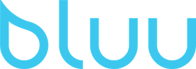bluuwash.com image