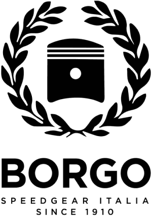 BORGO image