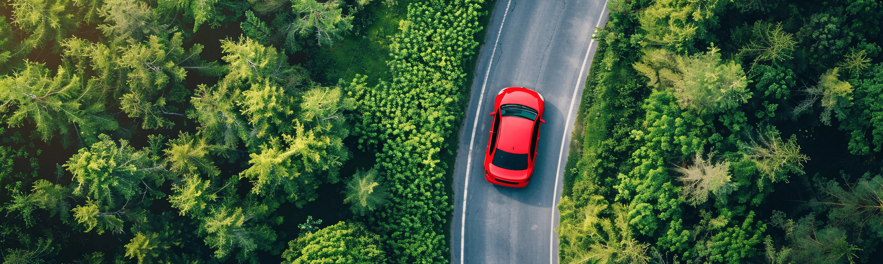 AutoScout24 – IMG