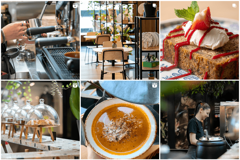 Coffee & Plants on Instagram