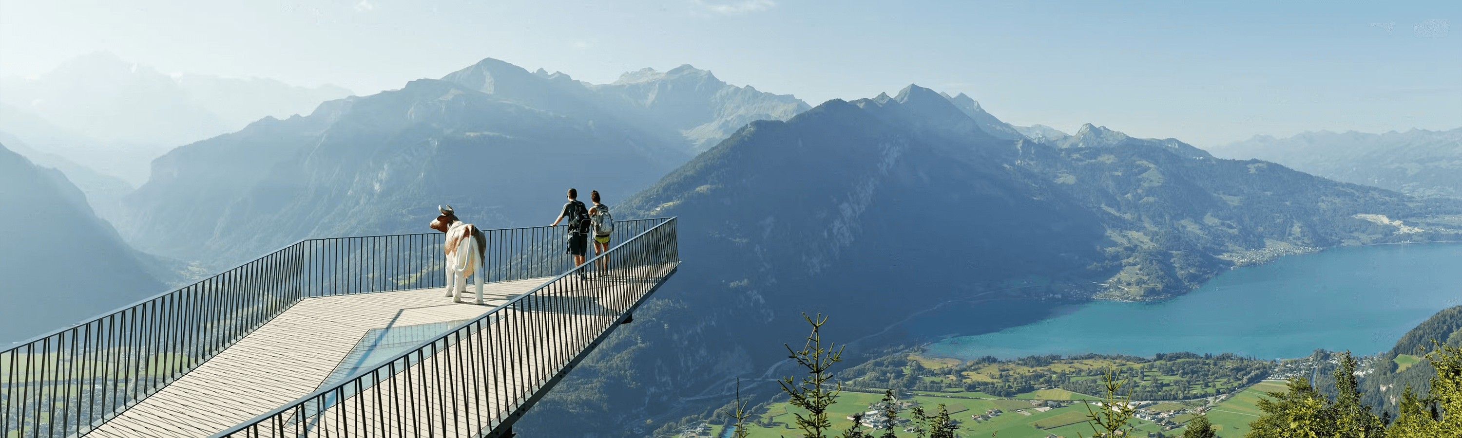 Swiss Activities – IMG