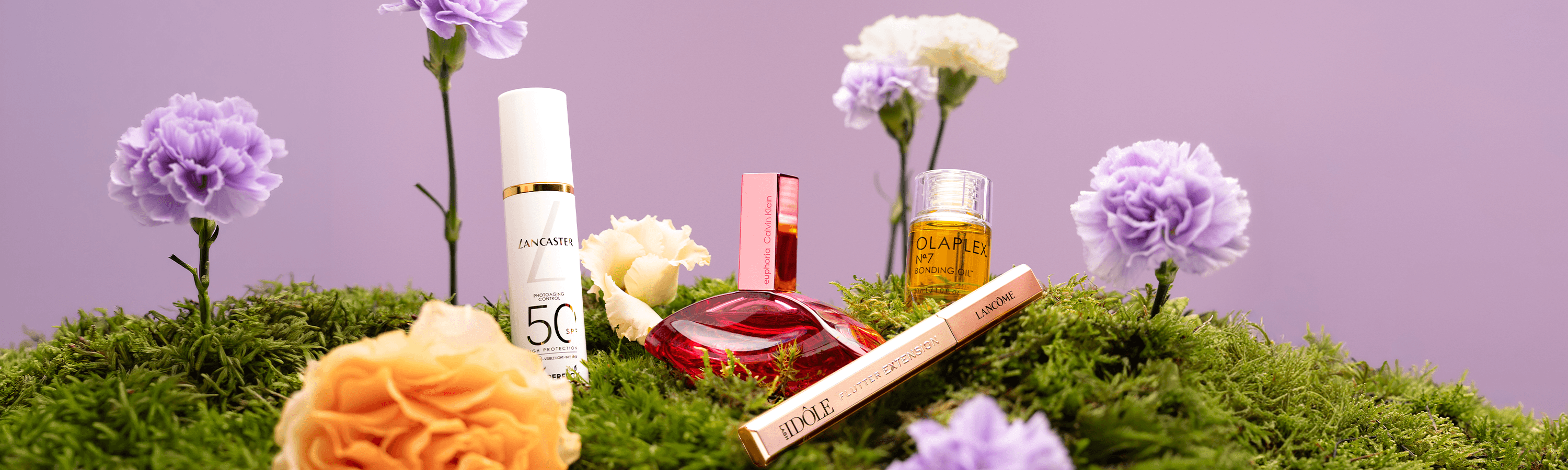 Parfumdreams – IMG