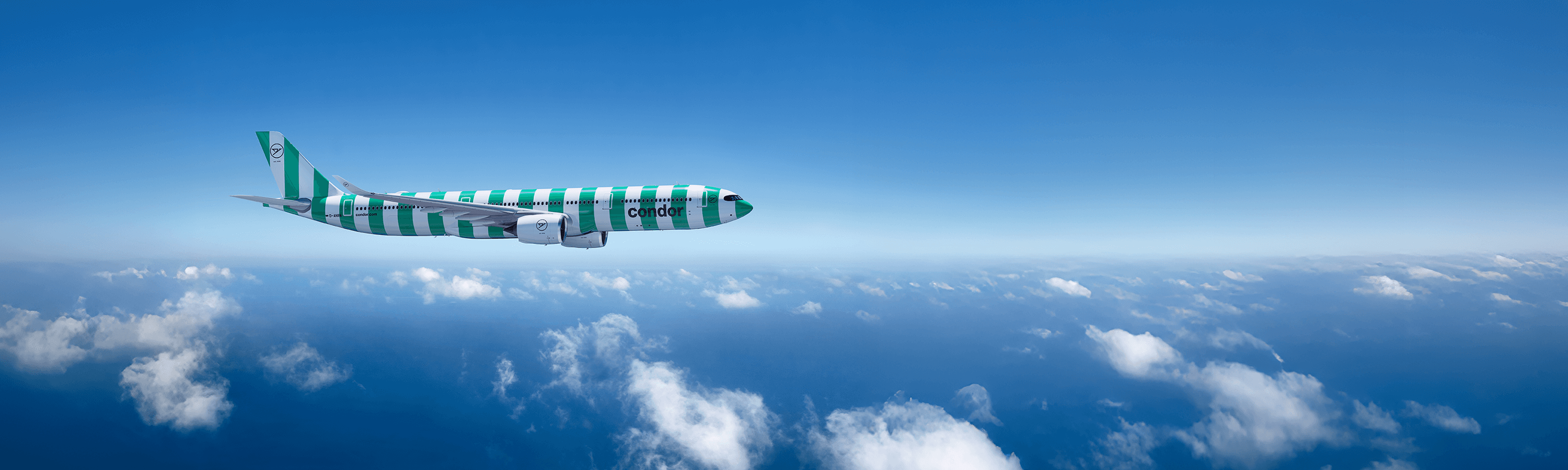 Condor – IMG