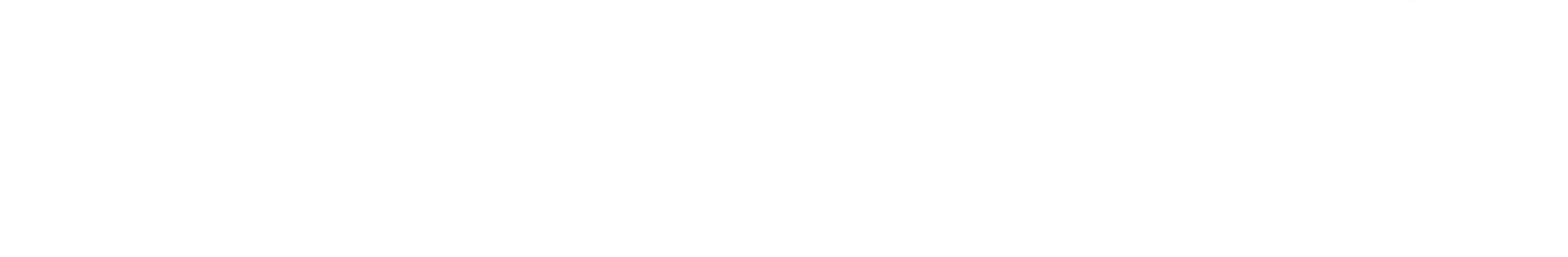 Issued by SwissCard